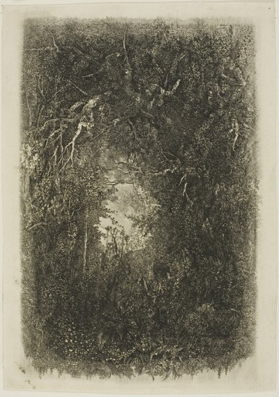 Mýtina v lese od Rodolphe Bresdin