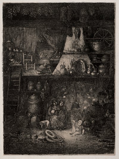 Selský interiér v Haute-Garonne, 1858. od Rodolphe Bresdin
