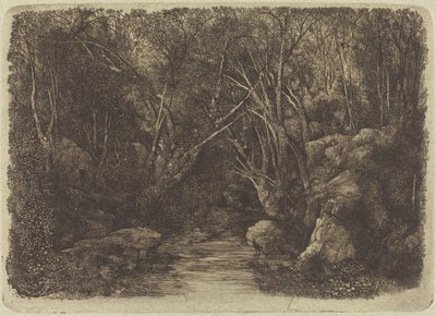 Potok v lese od Rodolphe Bresdin