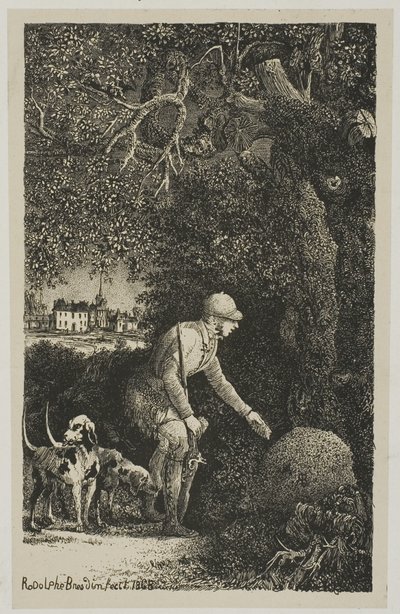 Diplomat a mraveniště, ilustrace k bajkám a příběhům od Hippolyte de Thierry-Faletans od Rodolphe Bresdin