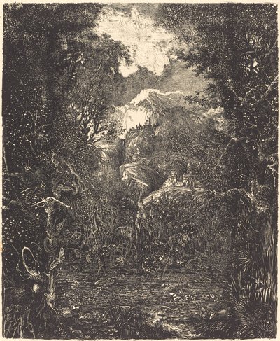 Města za bažinou od Rodolphe Bresdin