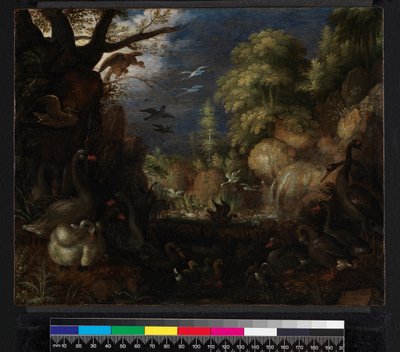 Stvoření ptáků, 1619 od Roelandt Jacobsz. Savery