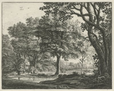 Jelen v Haagském lese Tváře v Haagse Bos (název série) od Roelant Roghman