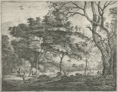 Jelen v Haagském lese od Roelant Roghman