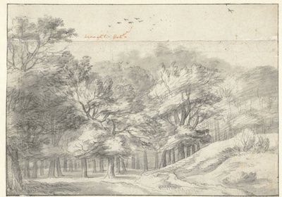 Pohled na Haagse Bos od Roelant Roghman