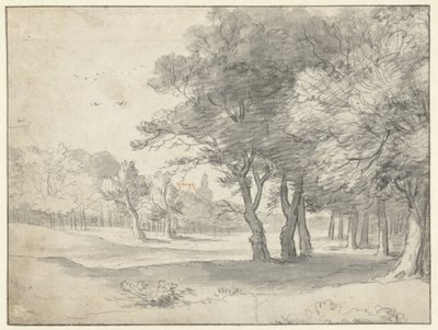 Pohled na Haagse Bos, s Grote Kerk, Haag, v dálce od Roelant Roghman