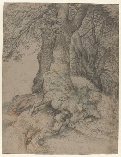 Studium kmenů a kořenů stromů Studium kmenů a kořenů stromů od Roelant Savery