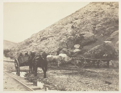 Dobytek a vozy, odjezd z Balaklavy od Roger Fenton