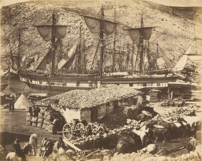 Přístav Balaklava, molo pro dobytek od Roger Fenton
