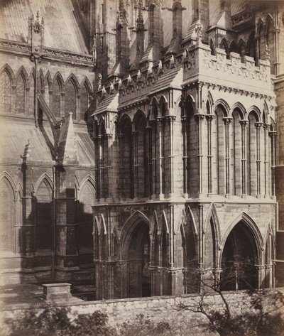 Lincolnská katedrála: Galilejská veranda, c. 1857. od Roger Fenton