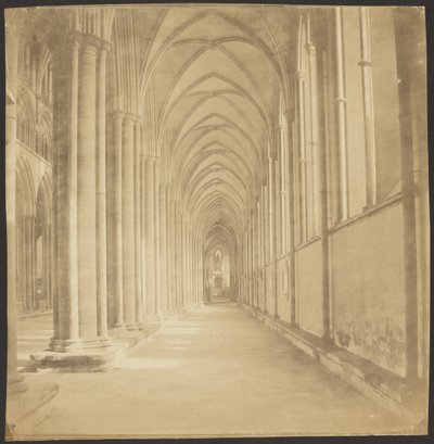 Jižní ulička katedrály v Salisbury od Roger Fenton