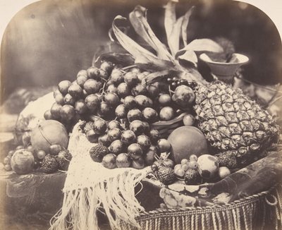 Zátiší s ovocem, 1860. od Roger Fenton
