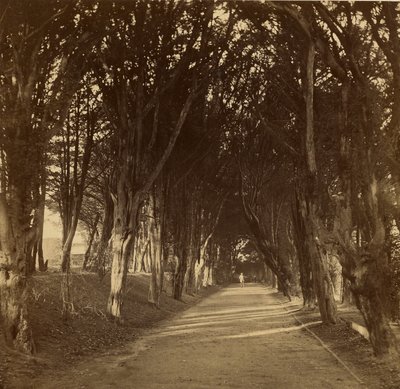 Temná procházka; Stonyhurst od Roger Fenton