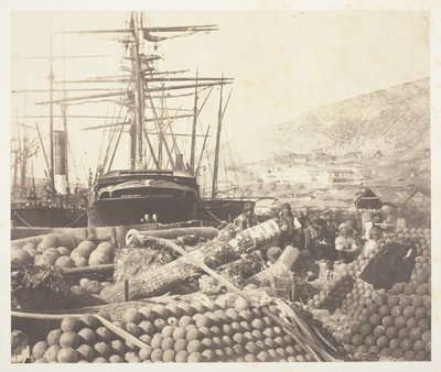 Zbrojní přístaviště, Balaklava od Roger Fenton