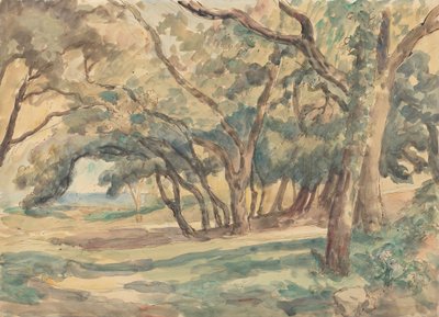 Wooded Glade poblíž St. Tropez od Roger Fry