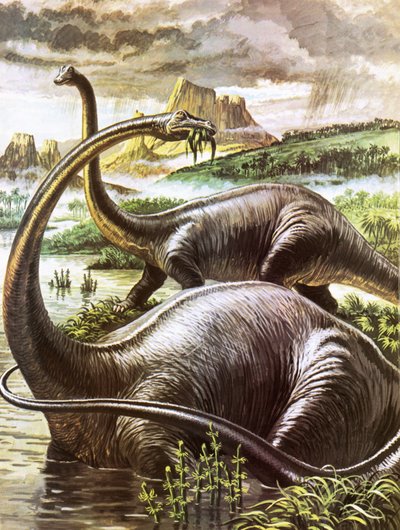 Diplodocus od Roger Payne
