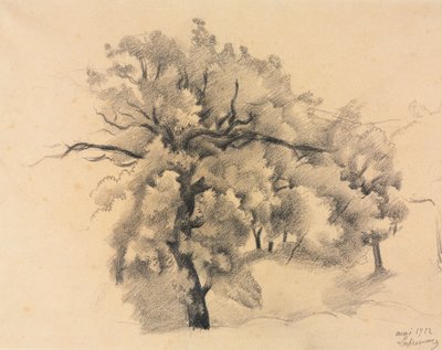 Studium stromů od Roger de La Fresnaye
