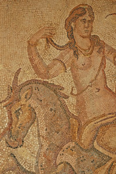 Nymfa z domu Jasona Magnuse (mozaika) od Roman