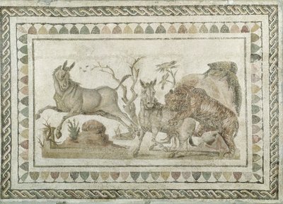 Tygr útočící na dva ongery, z domu Dionýsova průvodu, El-Jem (Thysdrus) (mozaika) od Roman