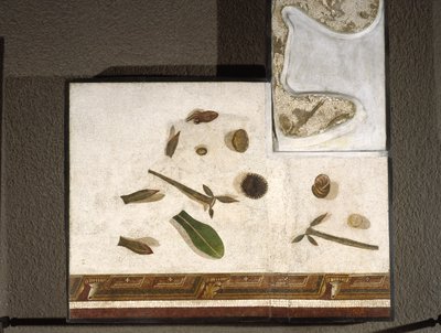„Asarotos“ (podlaha nezametená) Fragmenty mozaiky podepsané Haraklitonem z Říma, 2. století našeho letopočtu, Řím od Roman