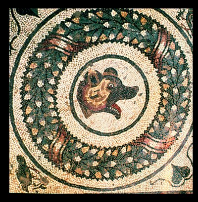 Hlava medvěda, římská mozaika, počátek 4. století (mozaika) od Roman