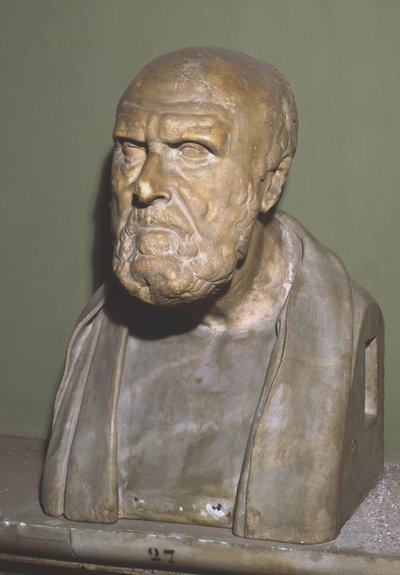 Busta Chrysippa ze Soli, římská kopie helénistického originálu (mramor) od Roman