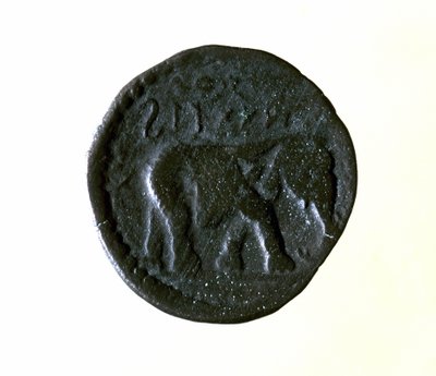 Kartágská mince představující slona. 3. nebo 2. století před naším letopočtem. od Roman