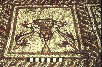 Delfíní mozaika, Insula XXVIII, budova 3, 2. století před naším letopočtem (mozaika) od Roman