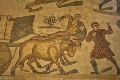 Sál Velkého lovu, podlahová mozaika s loveckou scénou, Villa Romana del Casale, Piazza Armerina, Sicílie, Itálie (foto) od Roman