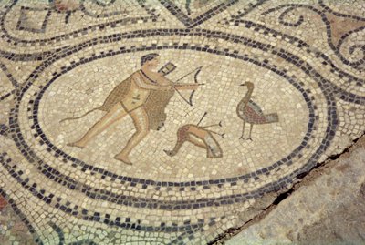 Hercules a Stymphalian Birds, z podlahy 