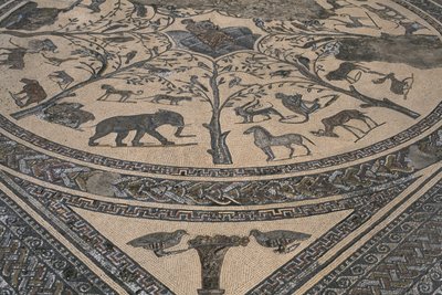 Dům Orpheus, Orpheus obklopený divokými zvířaty, detail (mozaika) od Roman