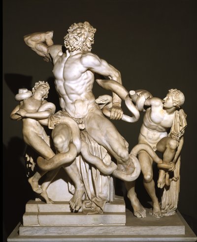 Laocoon a jeho synové (mramor) od Roman