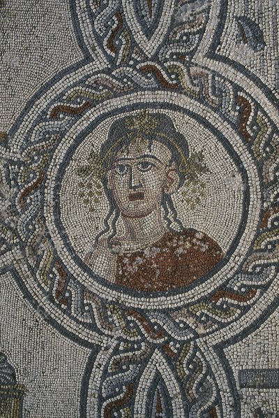 Mozaika čtyř ročních období, Dionýsův dům, detail, hlava (mozaika) od Roman
