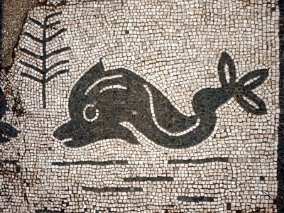 Znázornění delfína po mozaice na náměstí Corporazioni z Ostie (Ostia) antica. od Roman