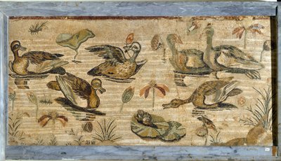 Římské umění: kachna, žába a lekníny v jezírku. Mozaika z vily fauny v Pompejích. 1. století. Ztlumit. Rozměry 132 x 164 cm. Museo Archeologico Nazionale, Neapol od Roman