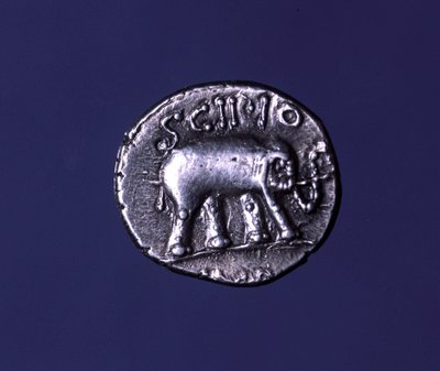 Stříbrná mince představující slona, fetiche zvíře Scipionů. Lucius Caecilius Metellus se zmocnil kartáginských slonů v roce 251 před naším letopočtem. 47-46 před naším letopočtem. od Roman