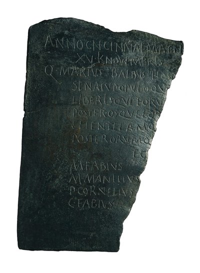 Rada nemocnic od Roman