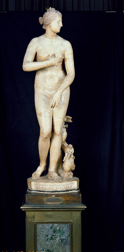 Medicejská venuše, kopie helénistického originálu od Praxitela (asi 370-330 př. n. l.) (mramor) od Roman