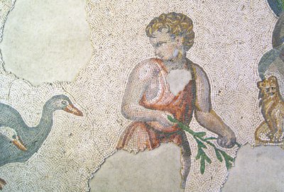 Neznámý obrázek od Roman