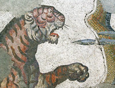 Neznámý obrázek od Roman