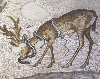 Neznámý obrázek od Roman