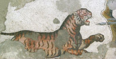 Neznámý obrázek od Roman