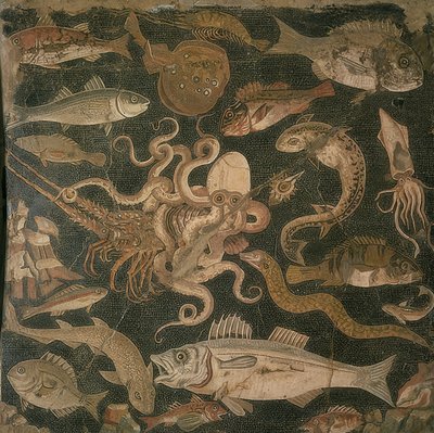 Vodní živočichové, boj mezi chobotnicí a humrem od Roman