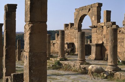 Cardo a vstup na tržiště Cosinius, vrcholné císařské období (27 př. nl-395 n. l.) od Roman Imperial Period