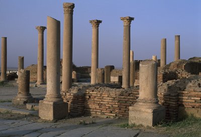 Pohled na knihovnu, cca 100 n. l., vrcholné císařské období (27 př. n. l. – 395 n. l.) od Roman Imperial Period