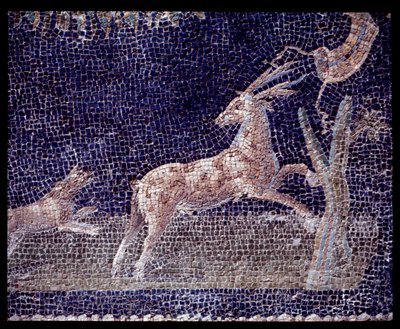 Detail nástěnné mozaiky nymfea casa di Nettuno e Anfitrite, 5. století př. n. l. - 1. století našeho letopočtu od Roman Roman