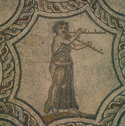 Mozaika zobrazující flétnistku z rodu Dionýsa ve Volubilis, Maroko, římská civilizace, od Roman Roman