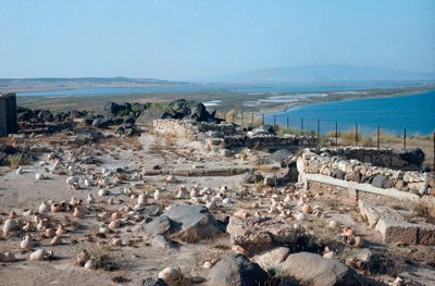 Pohled na město Tharros, starověký punicko-romský přístav, založený Féničany na Sardinii, Itálie od Roman Roman