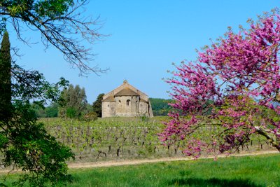 Románské kaple Saint-Etienne de Vaissiere v Azille (fotografie) od Romanesque