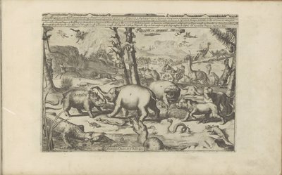 Aziatische en Afrikaanse dieren Aziatische en Afrikaanse dieren / Zvířata Asie a Afriky (název na objektu) Východní a Západní Indie a další místa (název série) od Romeyn de Hooghe